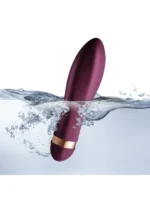 Luksuzni set sa 2 vibratora klitoralni i analni - Climaximum - Image 5