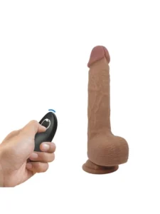 vibrator