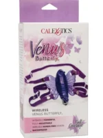 Leptir vibro gaćice - Venus Butterfly